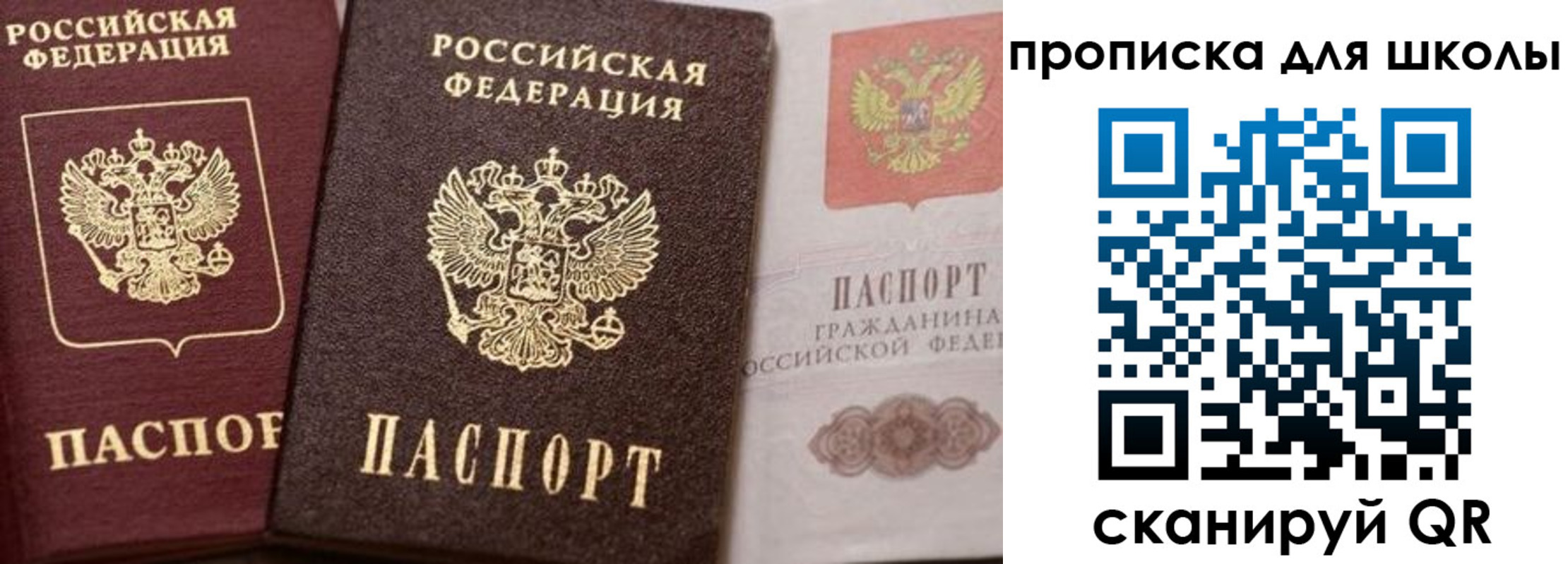 прописка законно в Россоши